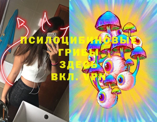 не бодяженный Вяземский