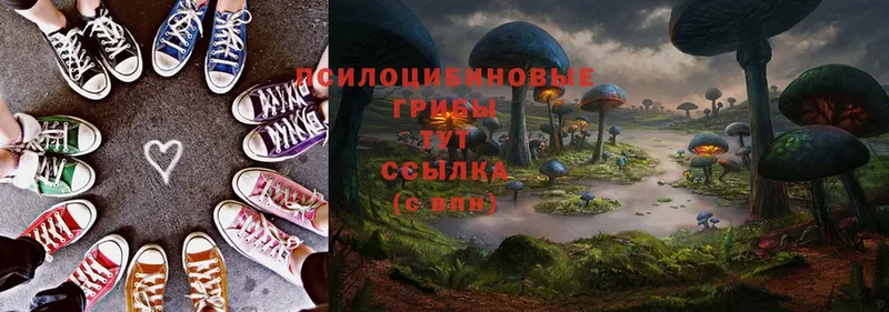 Псилоцибиновые грибы прущие грибы  даркнет сайт  дарк нет как зайти  Кизилюрт 